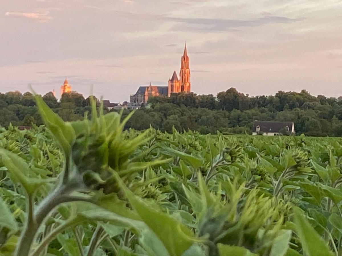 Maison De Campagne By La Boite En Plus Senlis  Luaran gambar